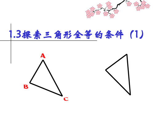 探索全等三角形的条件