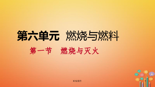 九年级化学上册 第六单元 燃烧与燃料 第一节 燃烧与灭火 6.1.2 促进燃烧与爆炸课件 (新版)鲁教版