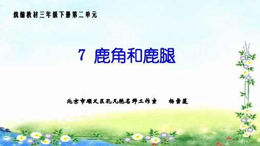 部编版三年级语文下册7 《鹿角和鹿腿》.pptx