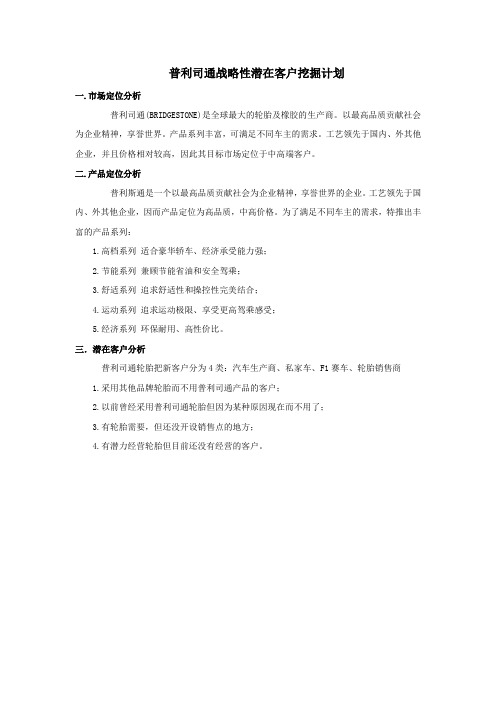 普利司通战略性潜在客户挖掘计划