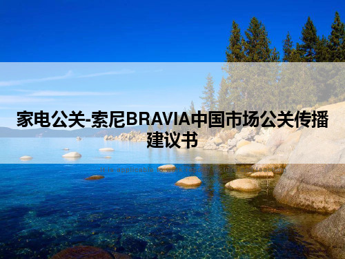 家电公关-索尼BRAVIA中国市场公关传播建议书