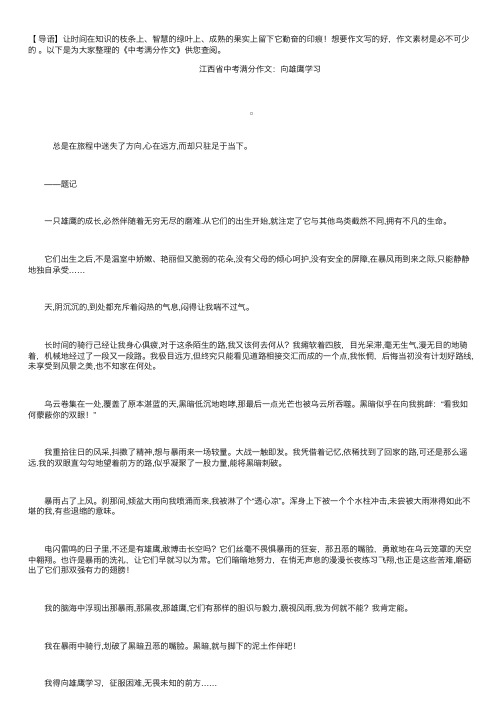 中考满分作文：向雄鹰学习