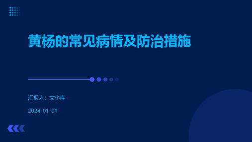 黄杨的常见病情及防治措施