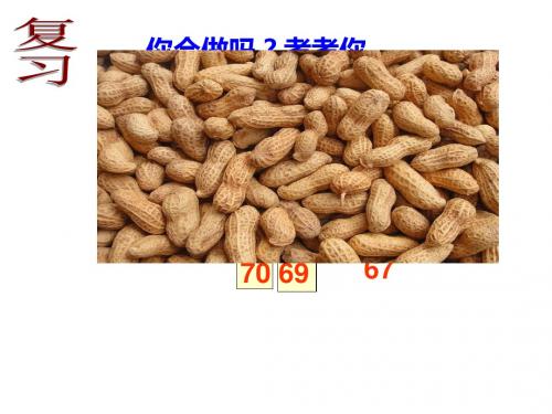 北师大版数学一年级下册3.3《数豆子》PPT课件4