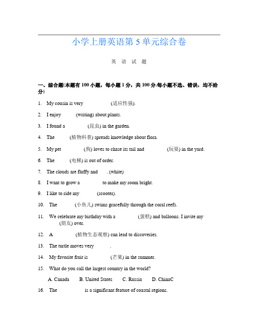 小学上册第12次英语第5单元综合卷