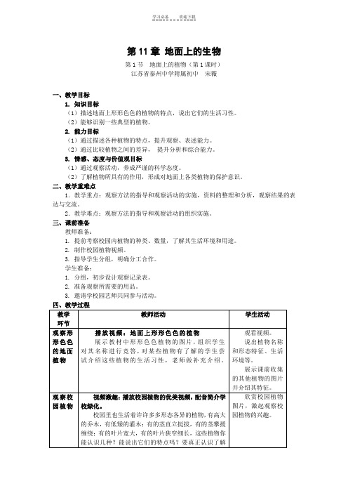 地面上的植物教学设计