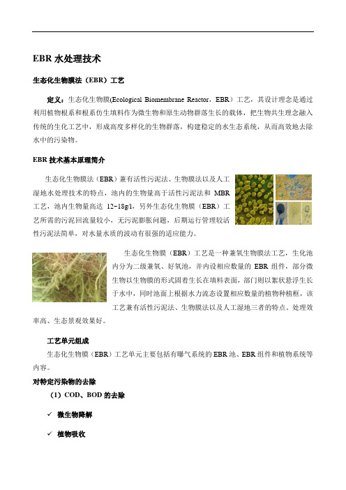 最新EBR水处理技术