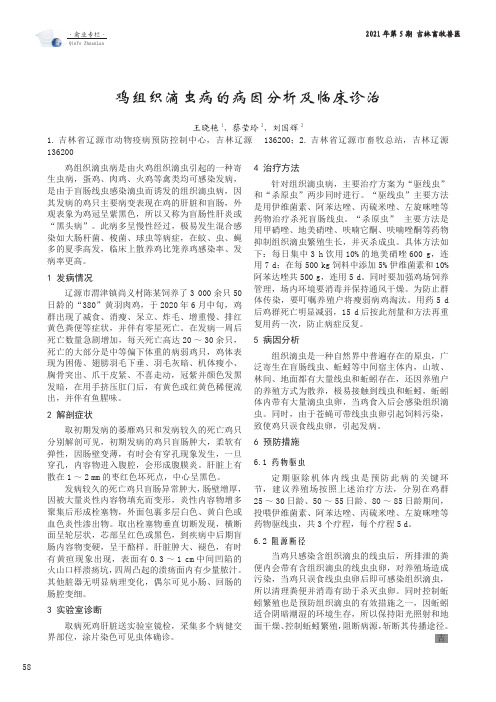 鸡组织滴虫病的病因分析及临床诊治