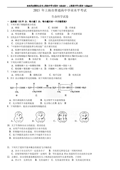 2015上海学业水平考试-生物卷