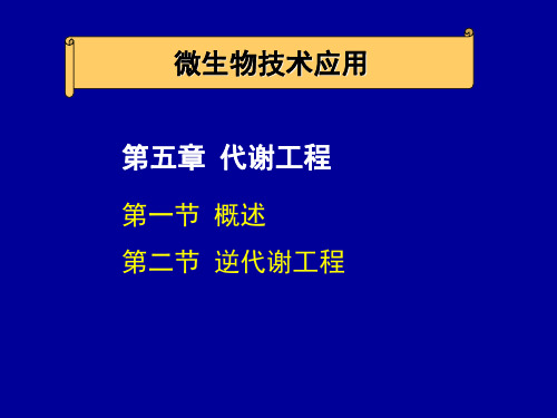 课件-5代谢工程