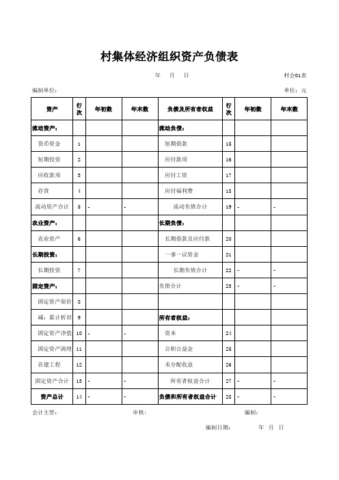 村级集体经济组织报表