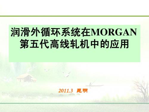 冶金行业润滑外循环系统在MORGAN第五代高线轧机中的应用