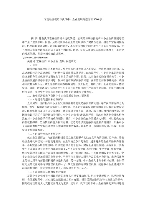 宏观经济视角下我国中小企业发展问题分析3000字