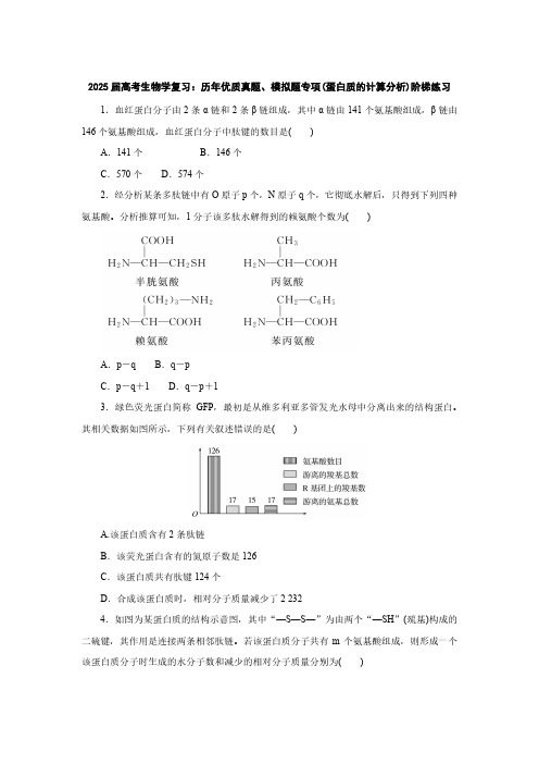 2025届高考生物学复习：历年优质真题、模拟题专项(蛋白质的计算分析)阶梯练习(附答案)