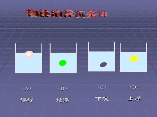 人教版八年级物理下第十章第二节阿基米德原理教学课件(共12张PPT)