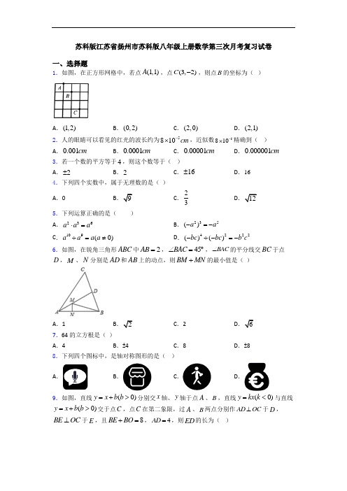 苏科版江苏省扬州市苏科版八年级上册数学第三次月考复习试卷