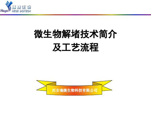 微生物解堵技术简介及工艺流程(西安瑞捷)doc资料