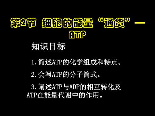 人教版高中生物必修一课件：5.2  细胞的能量通货ATP (共20张PPT)