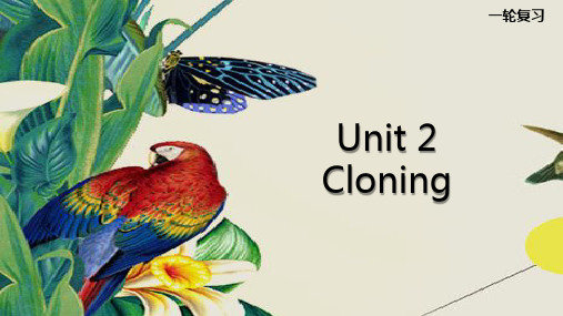 高三英语一轮复习优质课件3：Unit 2 Cloning