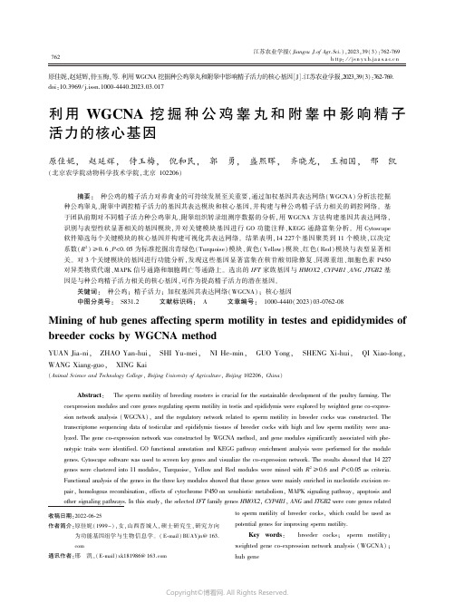 利用WGCNA_挖掘种公鸡睾丸和附睾中影响精子活力的核心基因