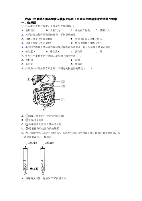 成都七中嘉祥外国语学校人教版七年级下册期末生物期末考试试卷及答案