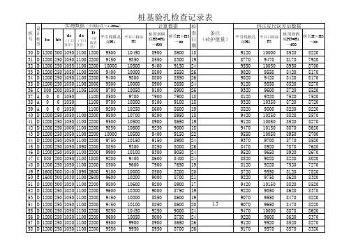 桩基验孔检查记录表