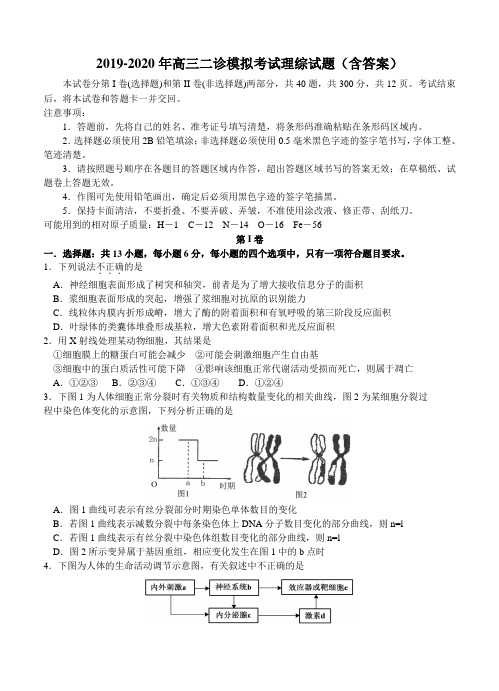 2019-2020年高三二诊模拟考试理综试题(含答案)