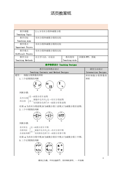 2 有丝分裂和减数分裂对比专题 教案