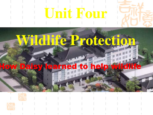 高一英语课件：Unit 4 Wildlife Protection reading