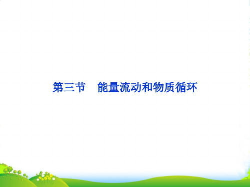 【优化方案】高中生物 第六章第三节能量流动和物质循环课件 浙科必修3