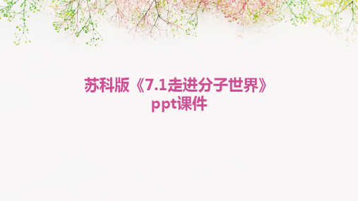 苏科版《7.1走进分子世界》ppt课件