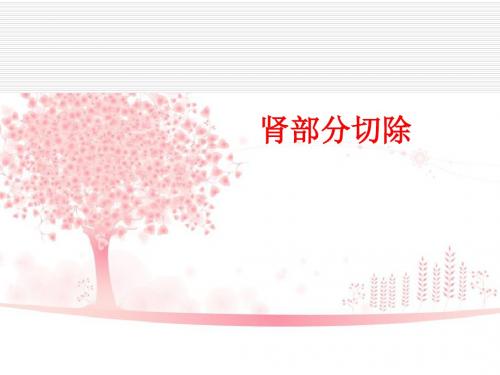 肾部分切除-第二季度护理查房