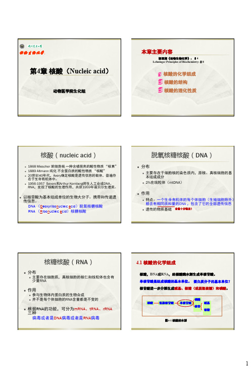 生物化学 核酸.