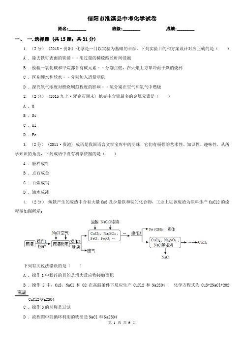 信阳市淮滨县中考化学试卷