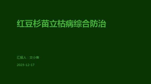 红豆杉苗立枯病综合防治