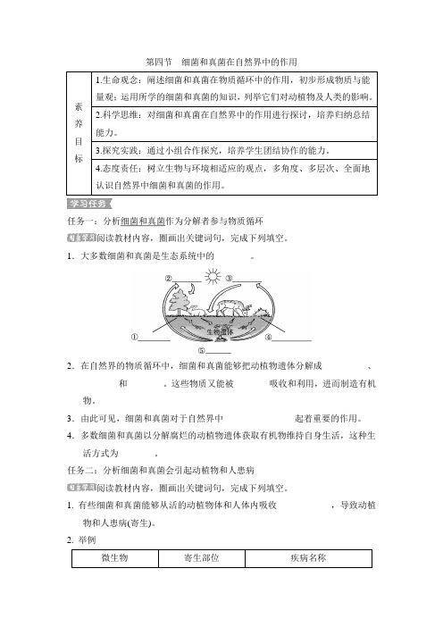 5.4.4细菌和真菌在自然界中的作用导学案人教版生物八年级上册