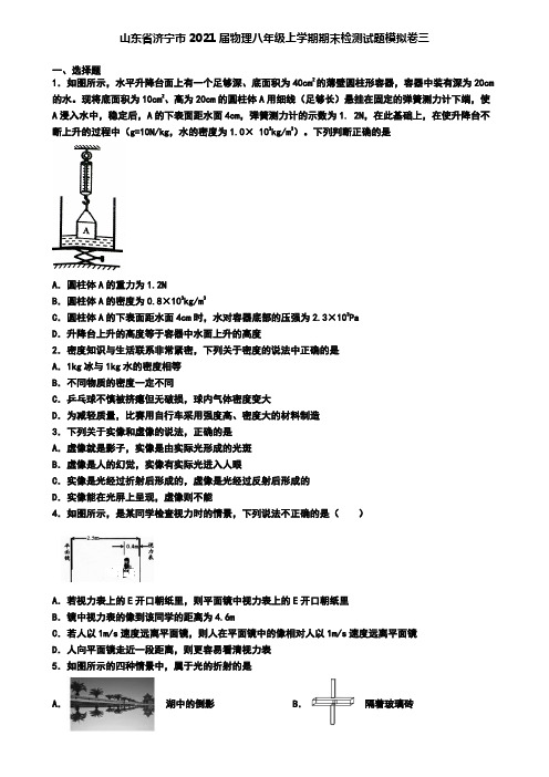 山东省济宁市2021届物理八年级上学期期末检测试题模拟卷三