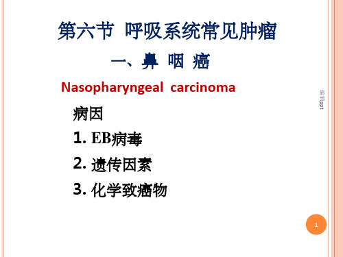 《呼吸系统肿瘤》PPT课件