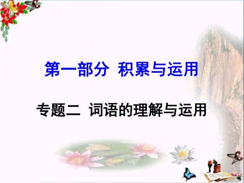 中考语文复习第一部分:积累与运用 PPT课件 (13份)1