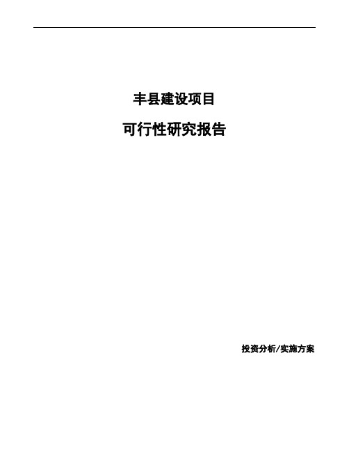 丰县投资建设项目可行性研究报告如何编写(模板)