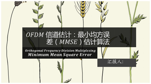 OFDM 信道估计：最小均方误差(LMMSE)