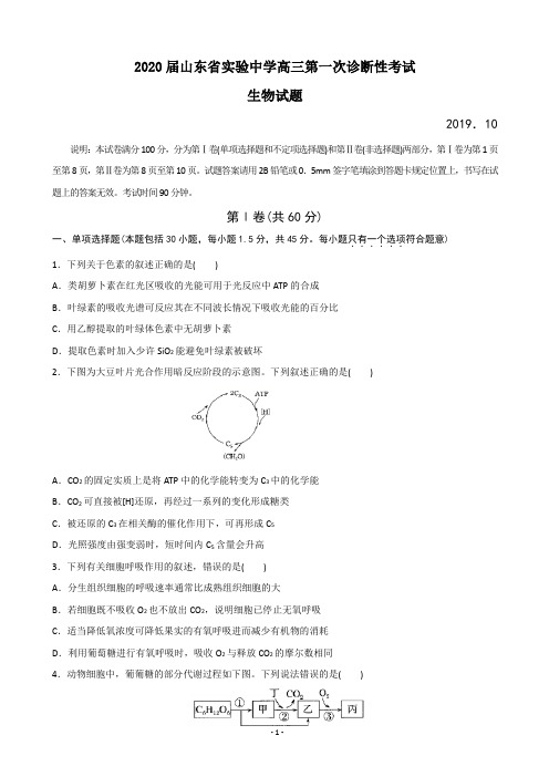 2020届山东省实验中学高三第一次诊断性考试生物试题