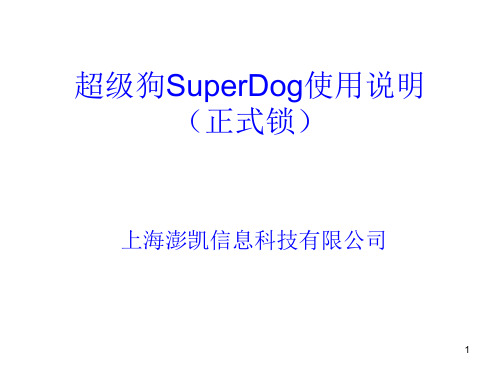 超级狗SuperDog使用说明 共33页