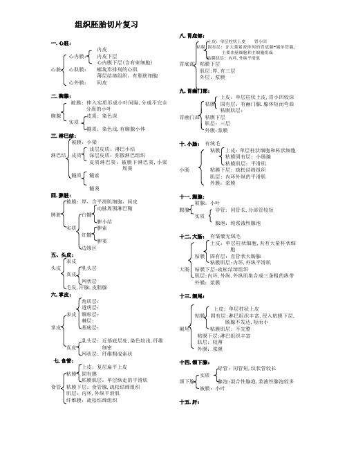 组胚切片复习