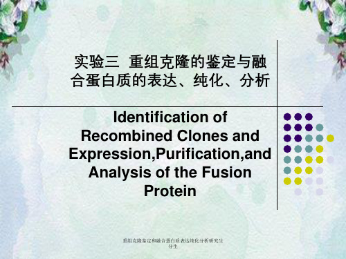 重组克隆鉴定和融合蛋白质表达纯化分析研究生分生