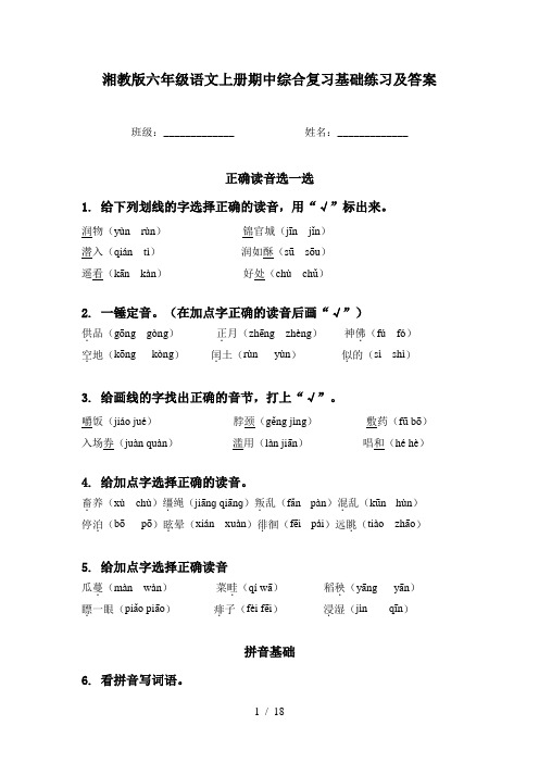 湘教版六年级语文上册期中综合复习基础练习及答案