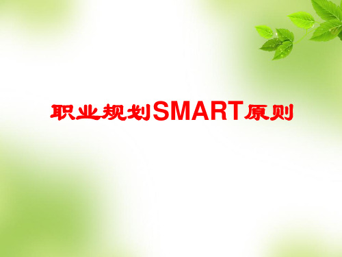 职业规划设计 SMART目标管理原则.ppt