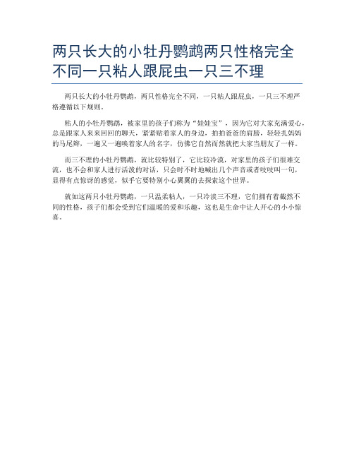 两只长大的小牡丹鹦鹉两只性格完全不同一只粘人跟屁虫一只三不理