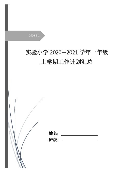 2020-2021学年实验小学一年级上学期教师工作计划(范文8篇)