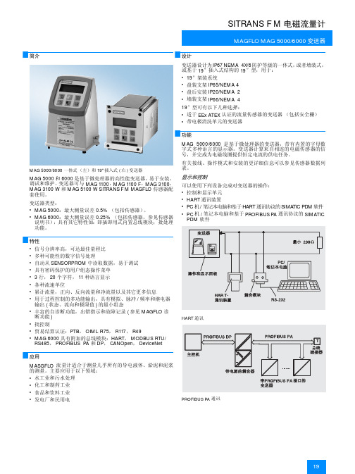 电磁流量计mag6000